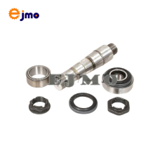 20751021 King Pin Repair Kit With bearing 