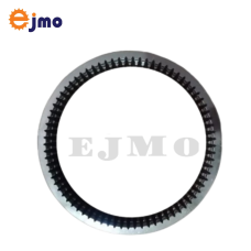 Annulus Ring Cat424 